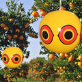 Bird Repellent Scare Balloon with Predator Eye Pattern and Reflective  Stickers