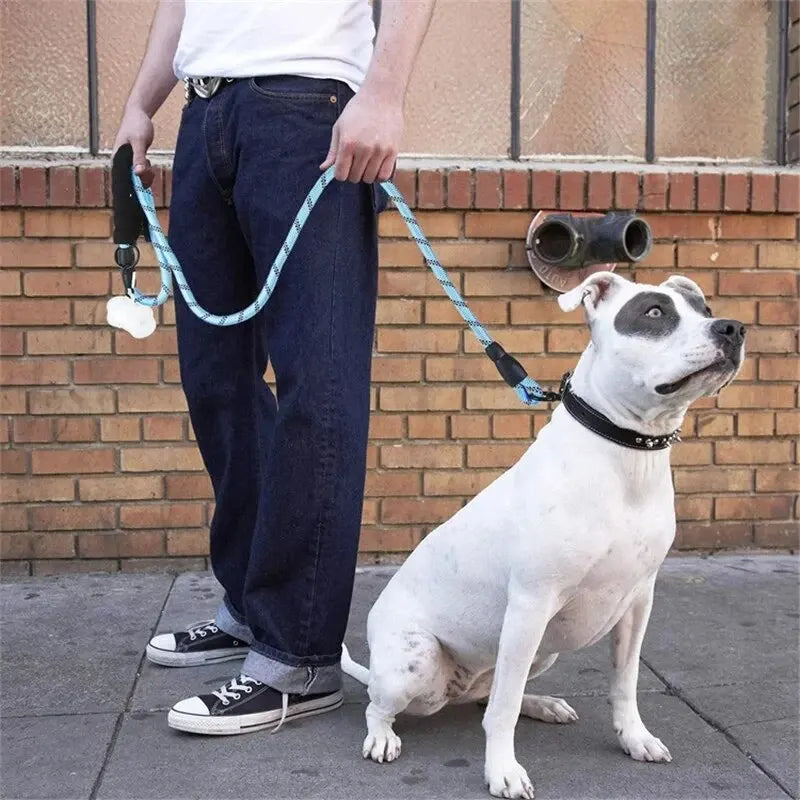 Dog Leash with Reflective Stitching and Padded Grip, Double Rope  Construction