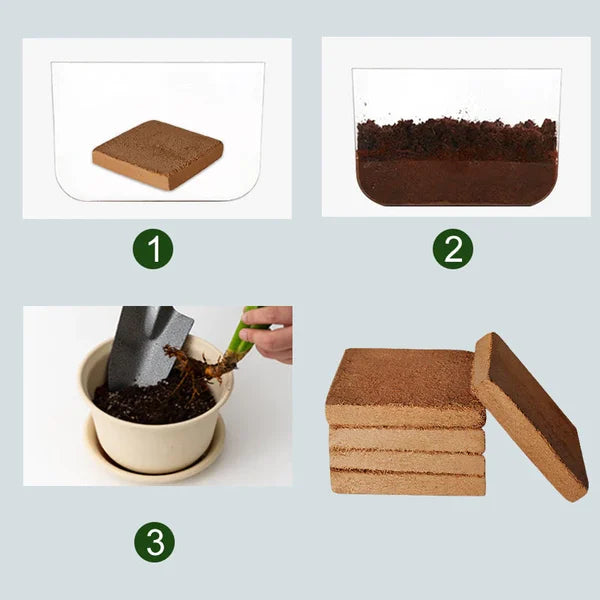Compressed Coco Coir Block with Water Expansion for Indoor and Outdoor  Plants