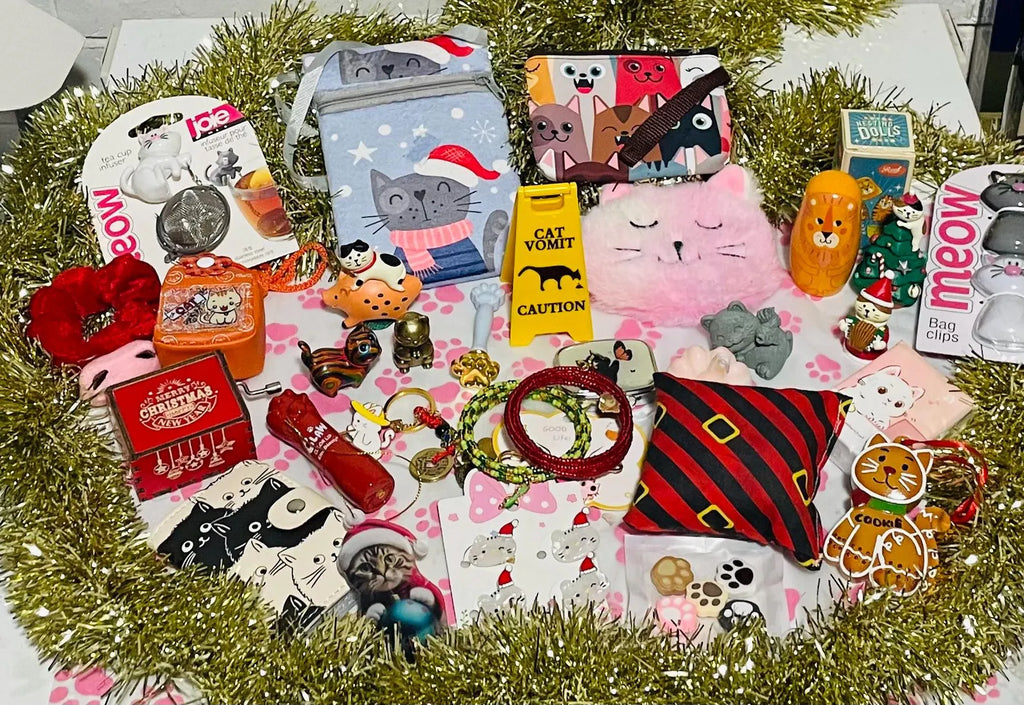Advent Calendar with 24 Cat-Themed Gifts and Daily Surprises