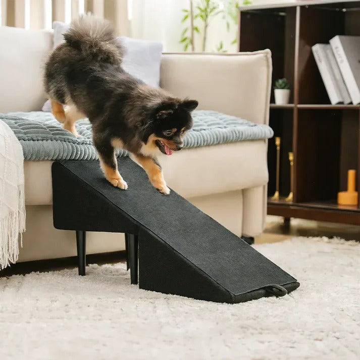 Convertible Dog Ramp with Padded Steps and Suction Cup Base for Beds and  Couches