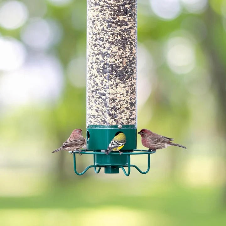 Bird Feeder with Squirrel Deterrent Design for Wild Birds