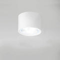 Adjustable Cylinder LED Ceiling Spotlight